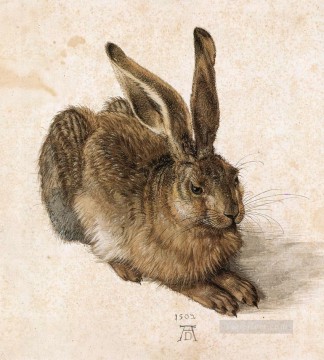 Tier Werke - Ein junger Hase Albrecht Dürer 